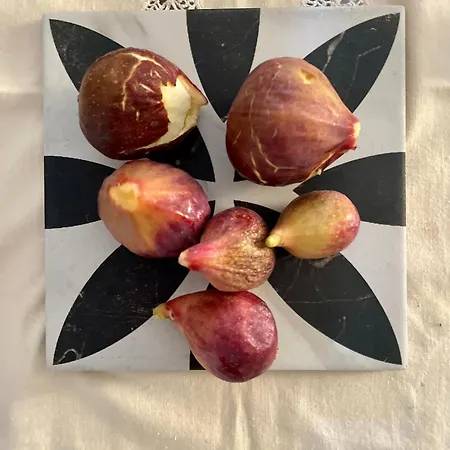 La Beata Giovanna Mesagne